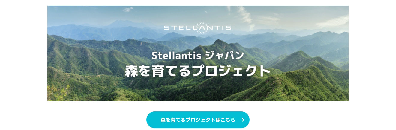 森を育てるプロジェクトはこちら